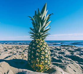 Blue Pineapple